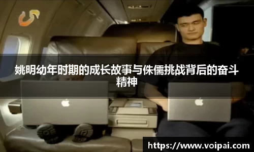 蓝狮在线