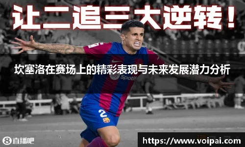 蓝狮在线