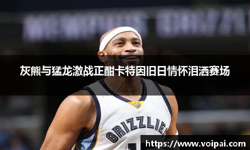蓝狮在线登录注册