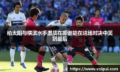 蓝狮在线登录注册