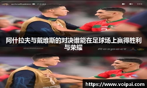 蓝狮在线